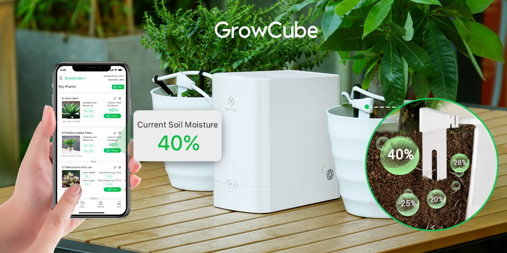 GrowCube : Bộ tưới cây thông minh phát triển cây trồng của bạn như một người chuyên nghiệp