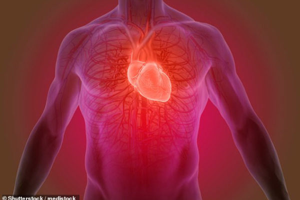 Loại keo thần kỳ có thể “vá” mô tổn thương cho người bị đau tim