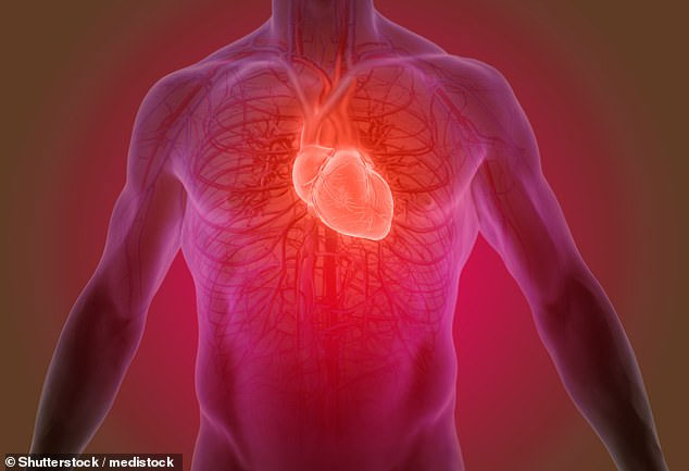 Loại keo thần kỳ có thể “vá” mô tổn thương cho người bị đau tim